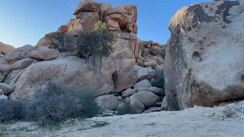 Monkey Chow v3, Joshua Tree - Beta Video from downclimbsonly