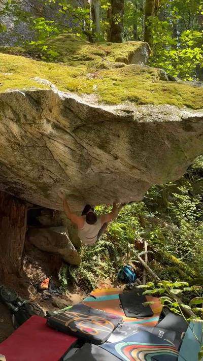 Mousetrap v10, Stevens Pass - Beta Video from akausejr