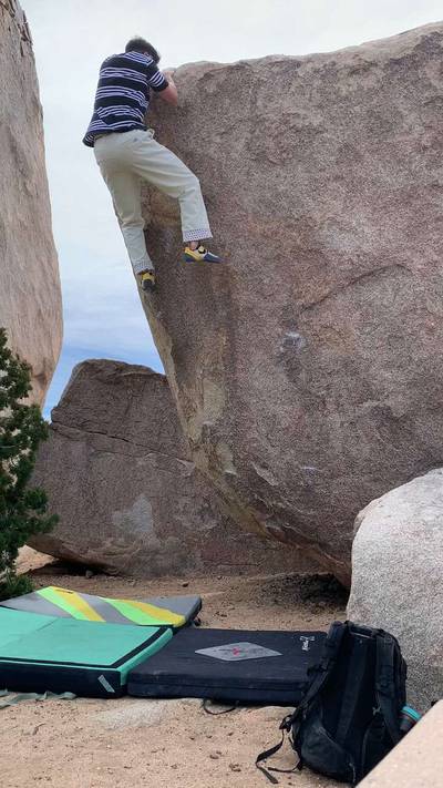 Flight Attendant v4, Joshua Tree - Beta Video from DrVega
