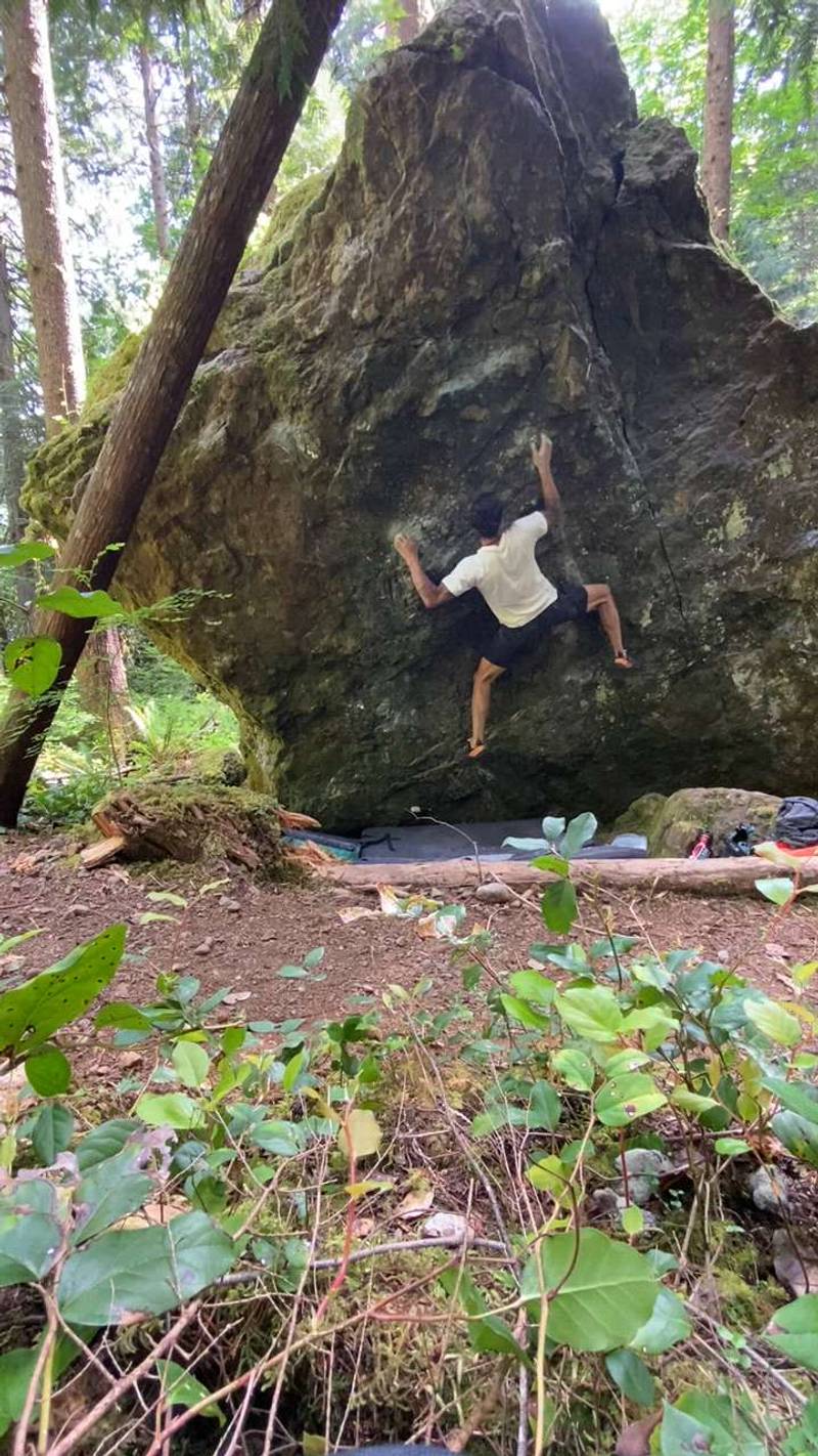 The Blaze v6, Comox Lake - Beta Video from Sato_Send