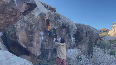 Sichuan Peppercorn v5, Moe's Valley - Beta Video from ahleeneh