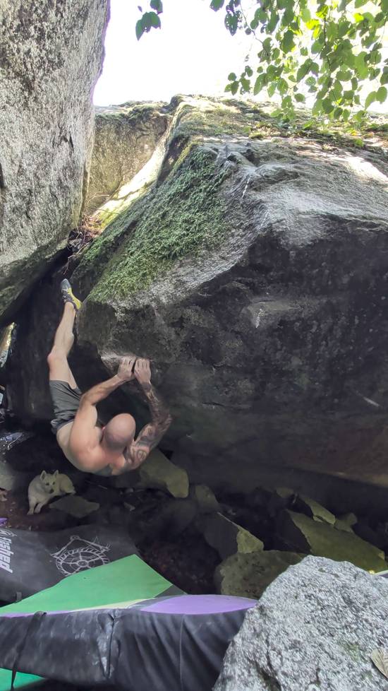 Frog Low v9, Index - Beta Video from ThatDiabetic