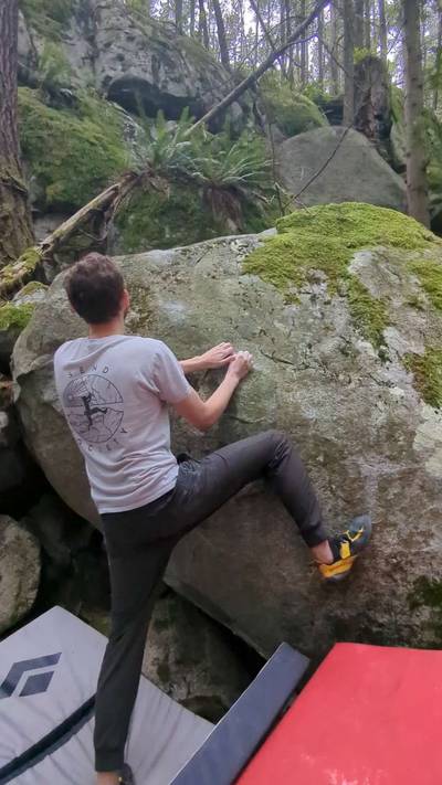 Painted Spoodle v5, Vancouver - Beta Video from dylanmuss