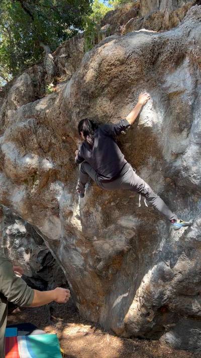 Black Plague v5, Berkeley - Beta Video from selynna