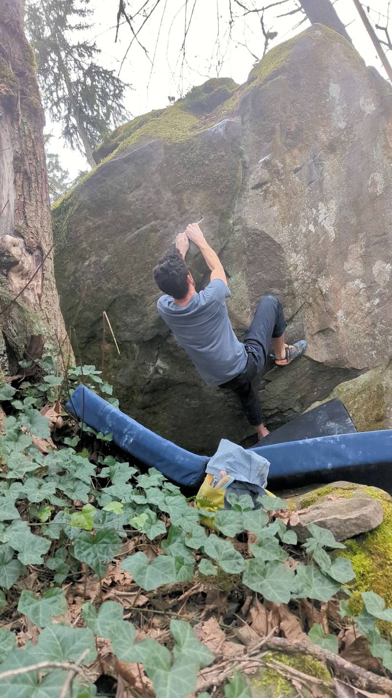 Red Meat Ma'am v7, Carver - Beta Video from jfr
