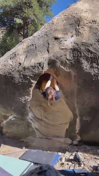 External Tulips v7, Joe's Valley - Beta Video from terradactyl03