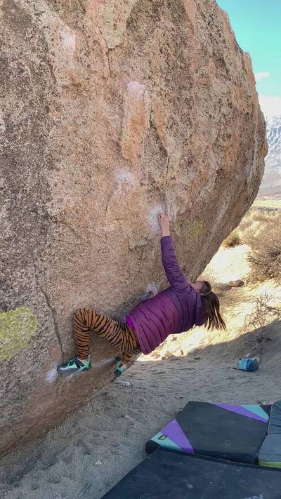Perfectly Chicken v5, Bishop - Beta Video from CampbiGriff