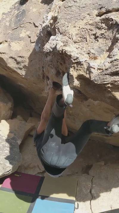 Monkey Hang v3, Bishop - Beta Video from brianclanton