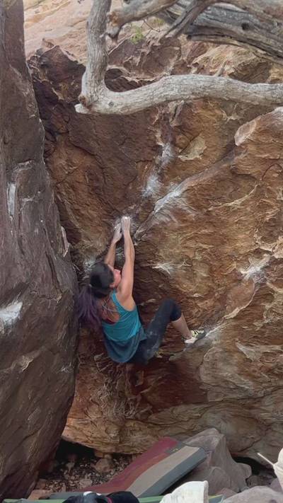 Face Plate v6, Red Rock - Beta Video from LittleBetaBird