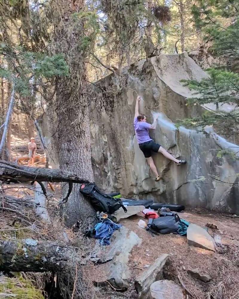 The Eliminator v5, Porcupine Hills - Beta Video from WolfGullich