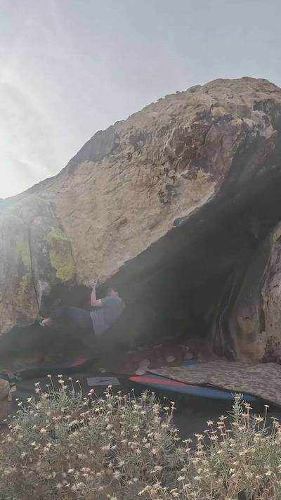 Wasted Ape v9, Red Rock - Beta Video from TinyDynos