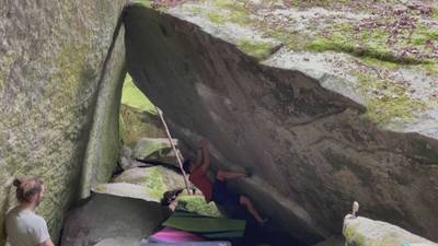 Dreamscape v7, Index - Beta Video from cwongbeta