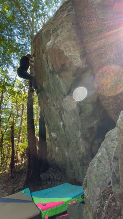 Intution v4, Mt. Tamalpais - Beta Video from Growlz