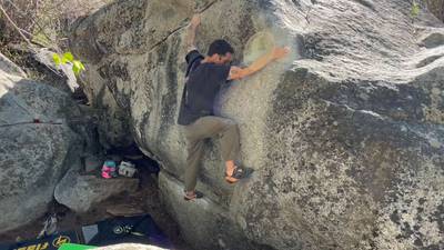 Wild Pack of Family Dogs v6, Lake Tahoe - Beta Video from StinkeePete
