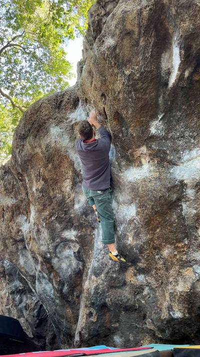 Fever v9, Berkeley - Beta Video from MaxwellEisner