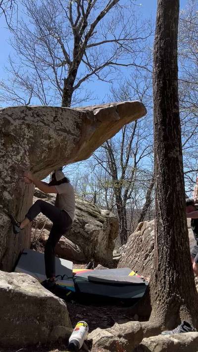 Le Beak Dyno v5, Cowell - Beta Video from EvanPolman