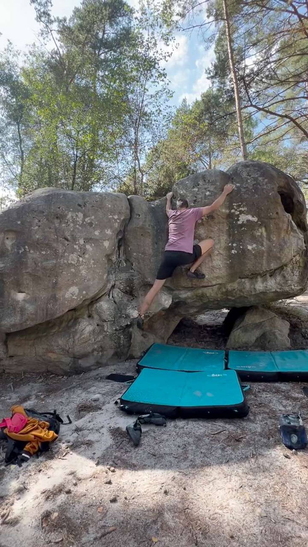 Pigeon Voyageur (Oiseaux) v3, Fontainebleau - Beta Video from coolguyJD