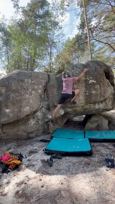 Pigeon Voyageur (Oiseaux) v3, Fontainebleau - Beta Video from coolguyJD
