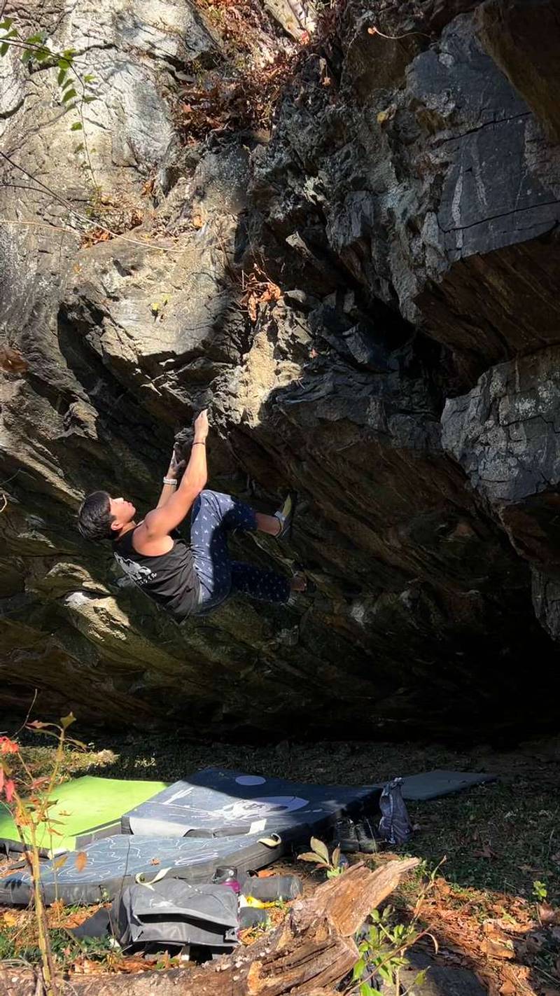 The Tiger in You v8, Gunpowder Falls - Beta Video from _thechanimal_