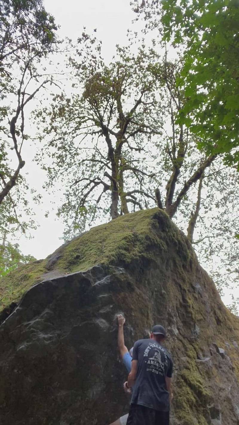 Haiku v2, Carver - Beta Video from sagginbutcraggin