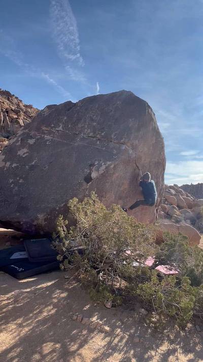 Swinging Richard v4, Joshua Tree - Beta Video from JPeregrina27