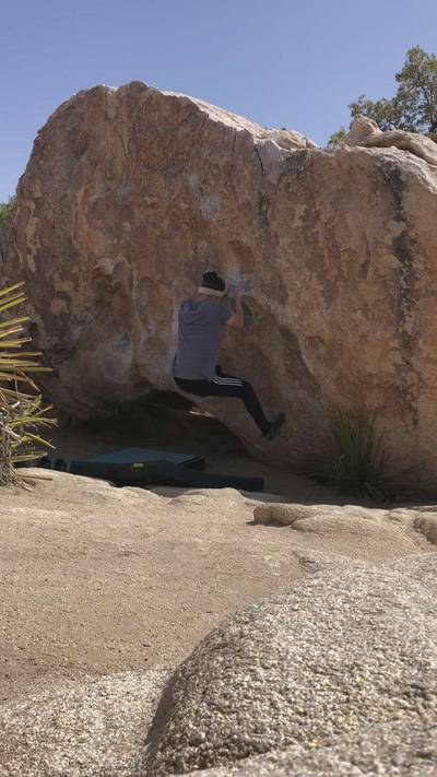 Little Chucky v4, Joshua Tree - Beta Video from j.k0000