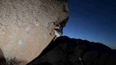 The Swarm v14, Bishop - Beta Video from vance_stanfield