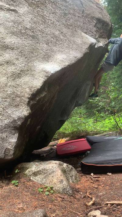 Baby Elephant v5, Stevens Pass - Beta Video from nicolemaksi
