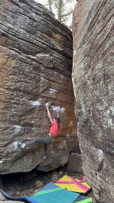 Fun Bags v6, Roy - Beta Video from Juliana.