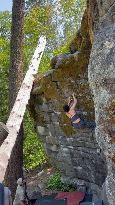 Tigerlily Right v4, Leavenworth - Beta Video from yujinkim