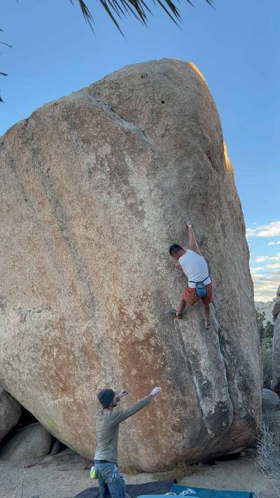 White Rastafarian v3, Joshua Tree - Beta Video from keav