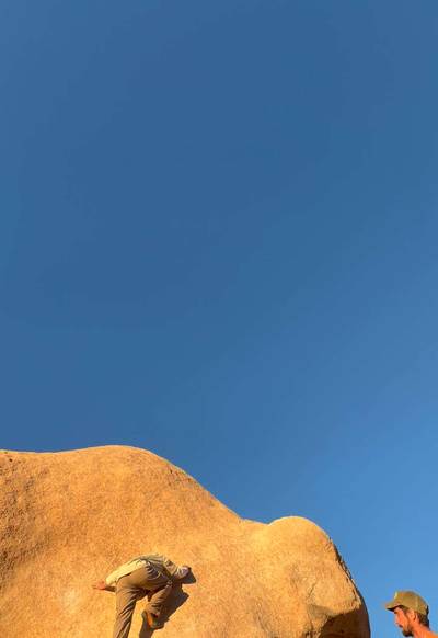 Stem Gem v4, Joshua Tree - Beta Video from keav