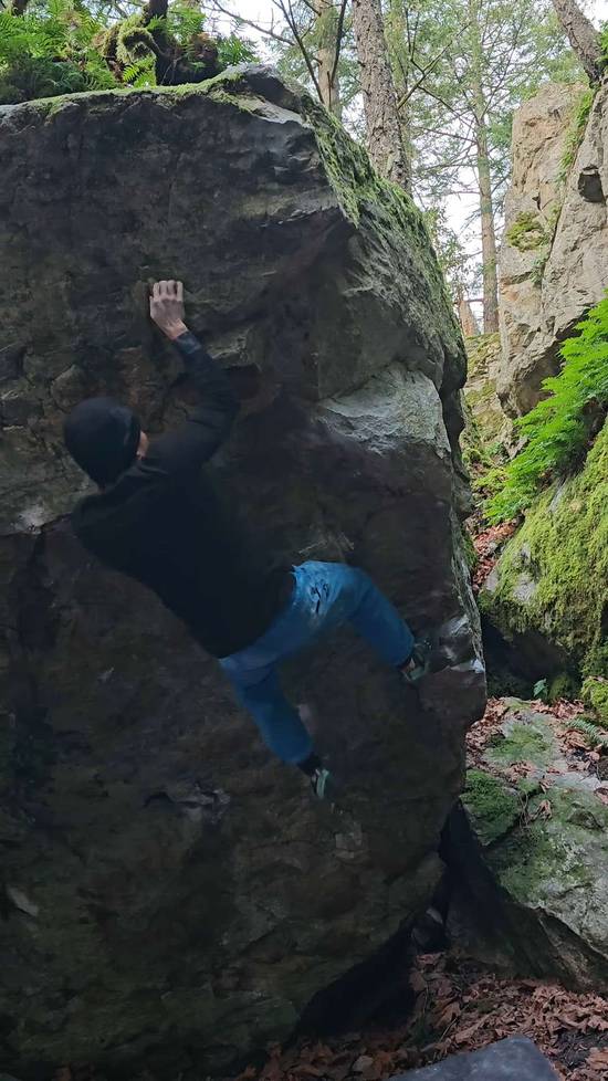 Moveable Feast v9, Victoria - Beta Video from Parfa