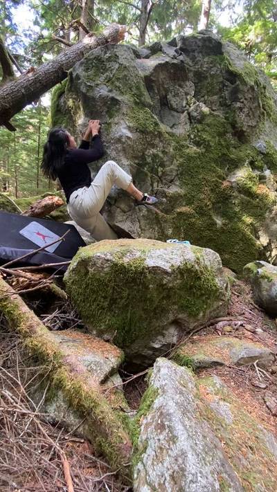 Carpenter Ants v1, Squamish - Beta Video from dannoko