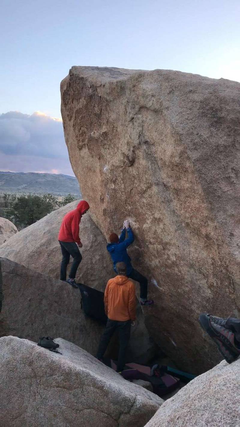 Broken Flowers Sit v9, Joshua Tree - Beta Video from EatinPringles