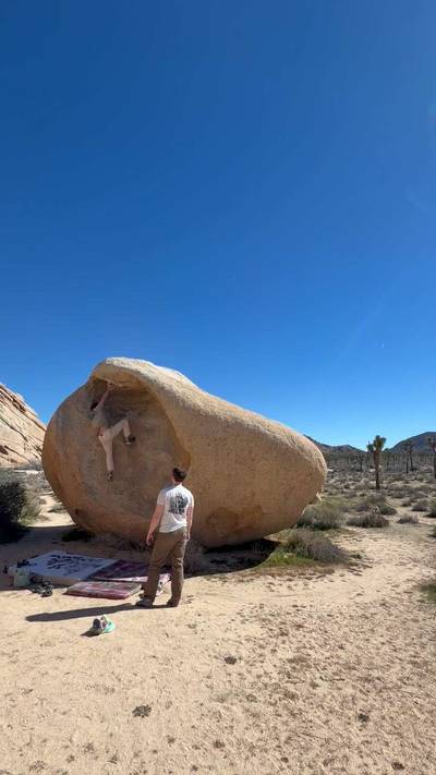 Womb v0, Joshua Tree - Beta Video from Bjence
