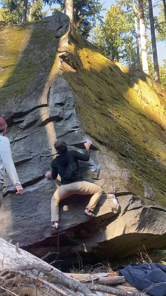 Polish King v5, Gold Bar - Beta Video from swayne