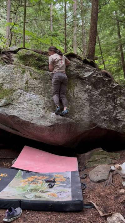 Bo Jo Shelf v3, Squamish - Beta Video from Nefka