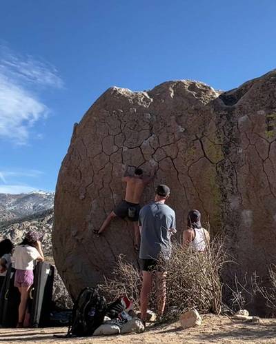 Green Wall Essential v2, Bishop - Beta Video from mig