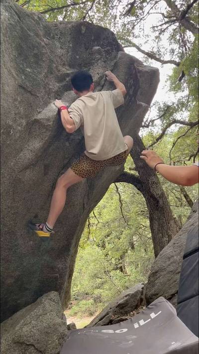 Moss Monkey v4, Yosemite Valley - Beta Video from whoisnat