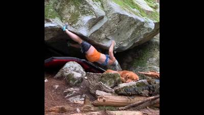 Forward Fox v10, Squamish - Beta Video from mandoline