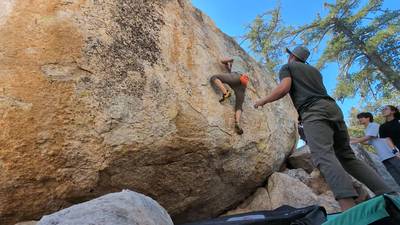 Thin Face Center v3, Horse Flats - Beta Video from meez