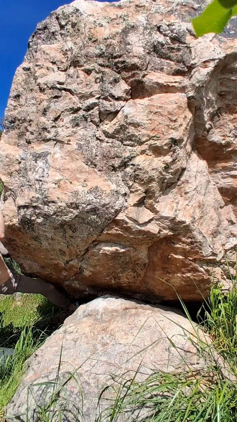 Paulaner Right v6, Ogden - Beta Video from Lechoneus