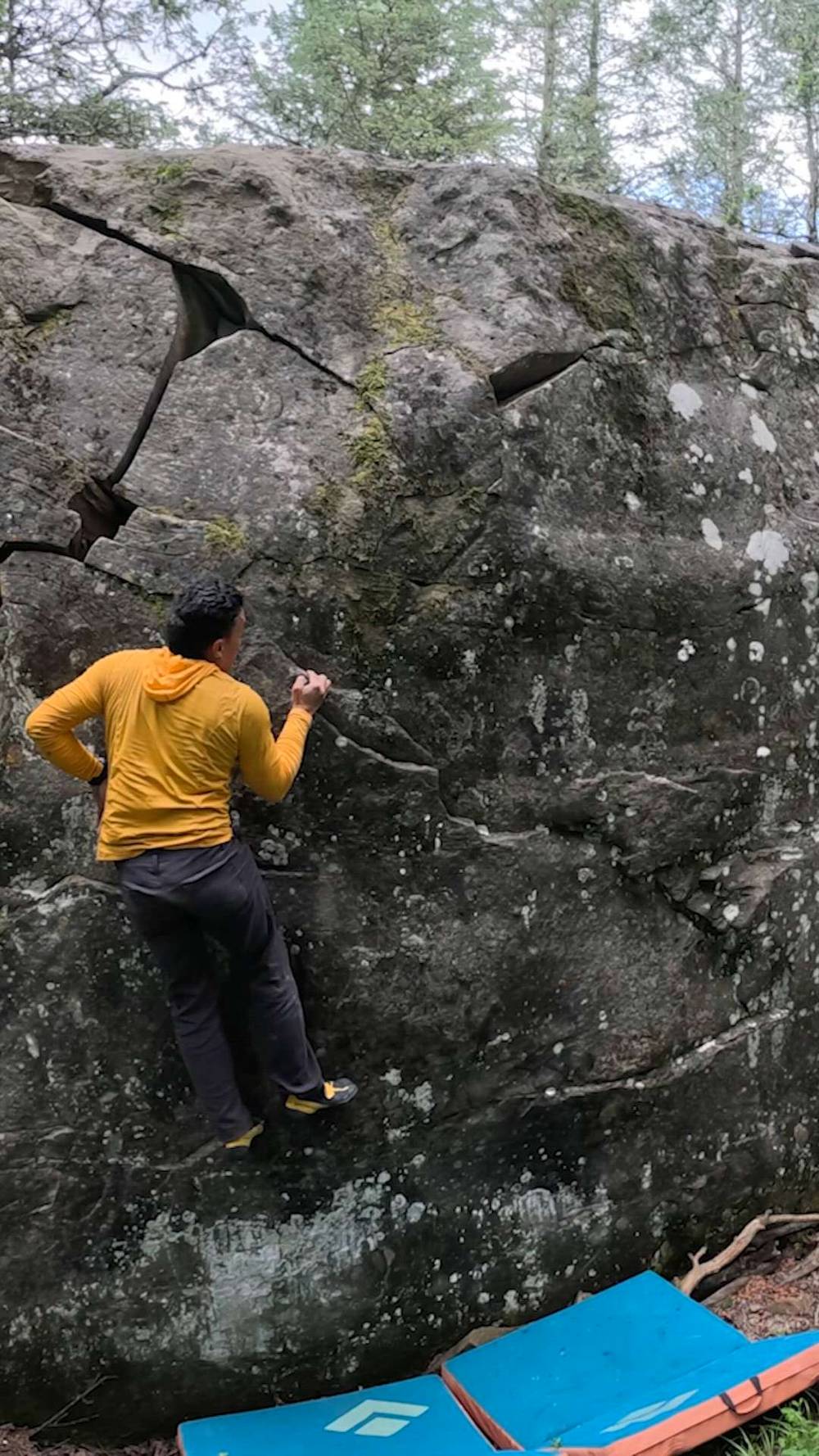 Here's Brucey! v0, Porcupine Hills - Beta Video from Aibert