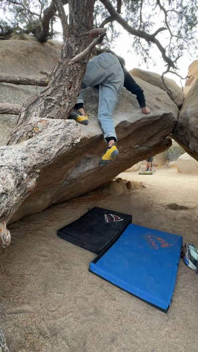 Yabo Roof v3, Joshua Tree - Beta Video from ChandlerCheese