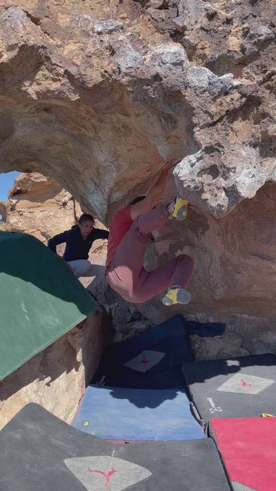 Feeding Frenzy v7, Bishop - Beta Video from abetafoto