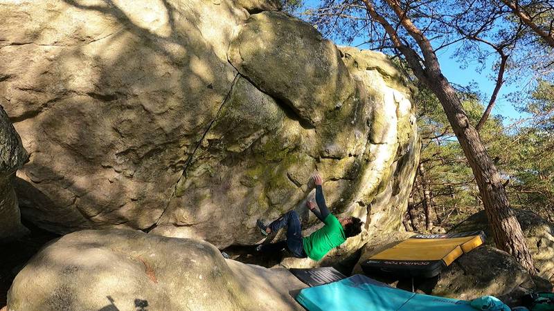 La direct de la fosse aux oreilles v9, Fontainebleau - Beta Video from Cyborg