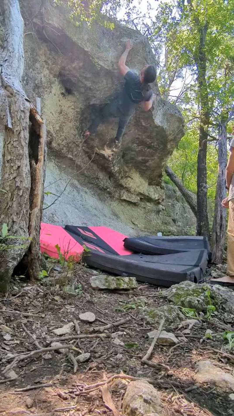 Swamp Mamma v8, Rogers Park - Beta Video from ButterySequoia