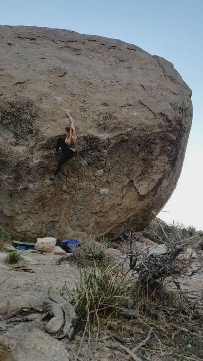 Cindy Swank v7, Bishop - Beta Video from jenndbell