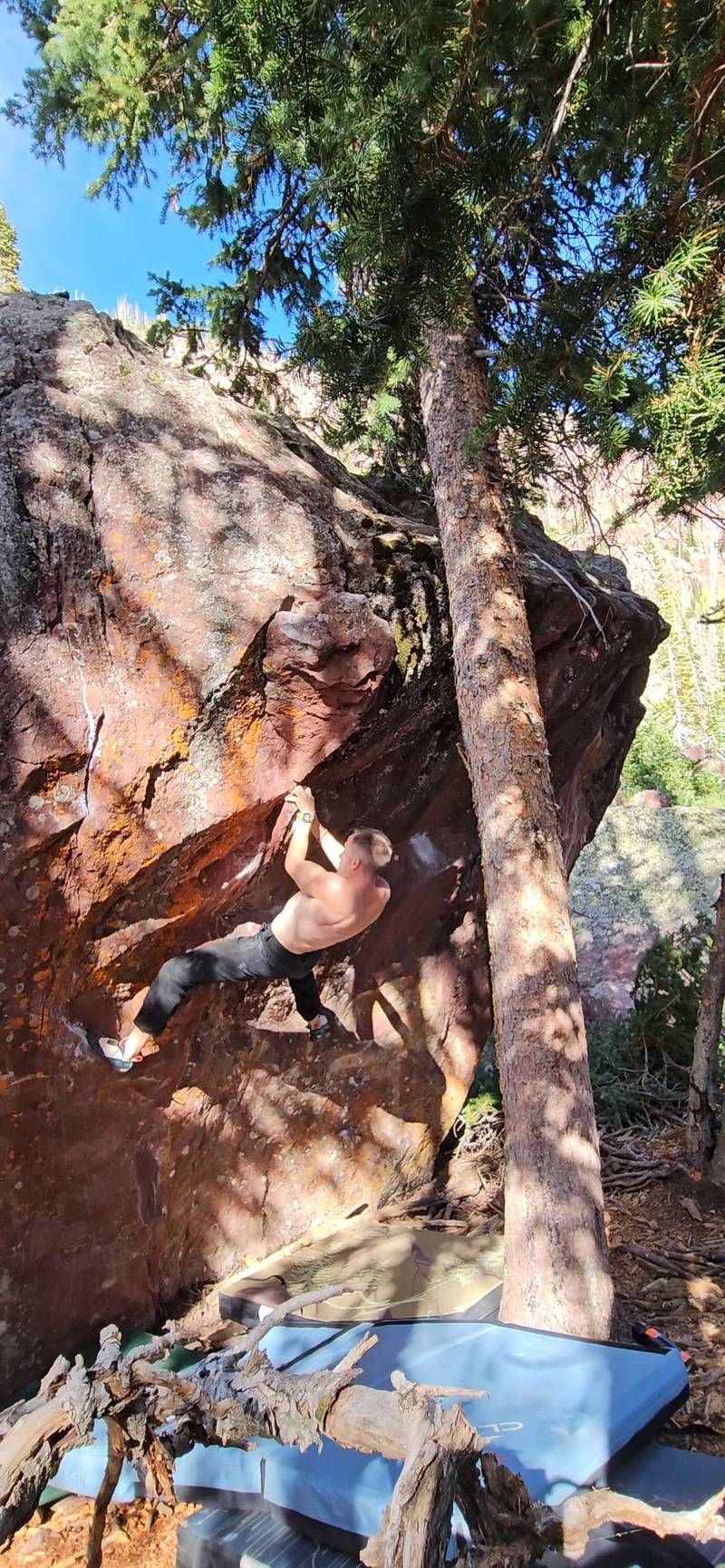 Get Tree'd v5, Uintas - Beta Video from nicknicknick